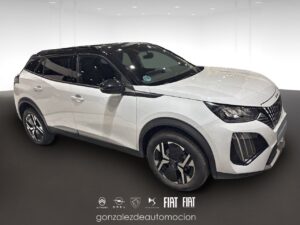 Gonzalez de Automoción -- - copia 72 2 1a256f2e 3e6e 4bf1 ac83 212fb79e5409