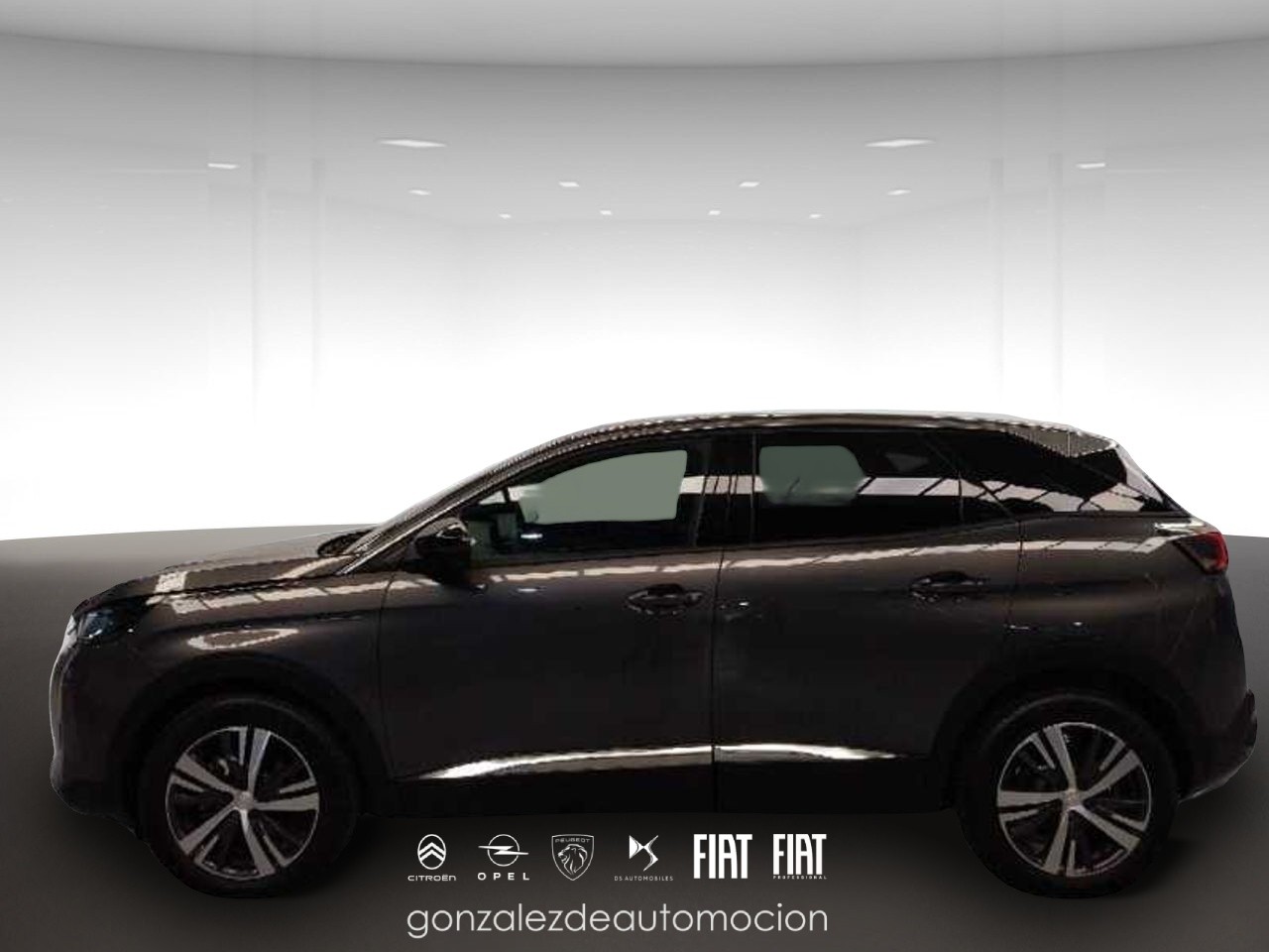 2_7e0b26e2-673e-4eef-ae44-dadd1028e455.jpg