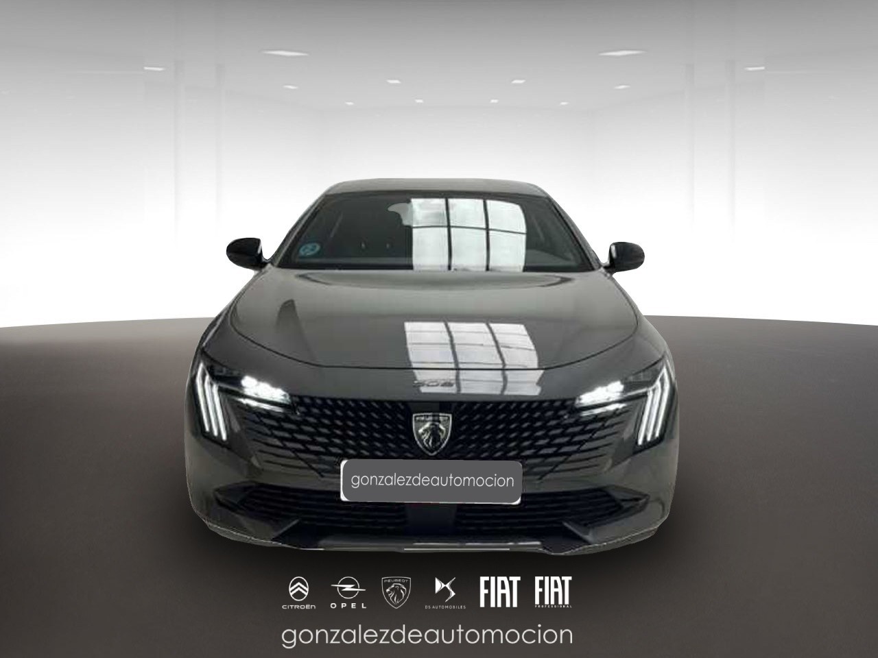 2_a60b3348-37e5-4d69-b164-4e9a6c69b3ad.jpg