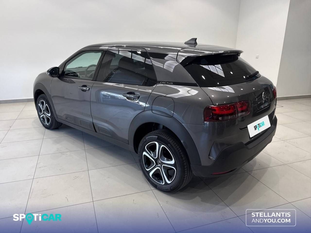 Citroën C4 Cactus  PureTech 110 S&S Feel 13
