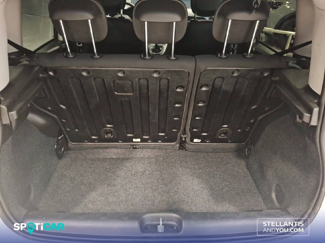 Fiat Panda  Panda  1.0 Hybrid 51kw (70CV) Cross 11